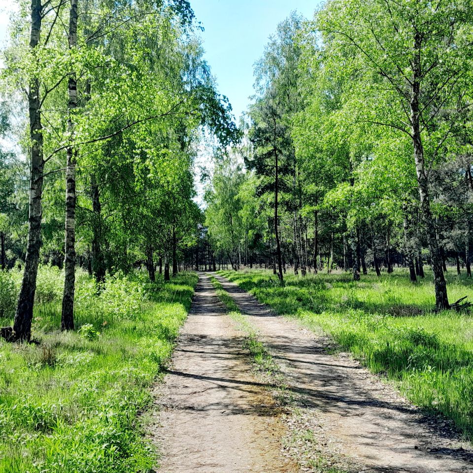 Działka budowlana Leszno. Zdjęcie 6