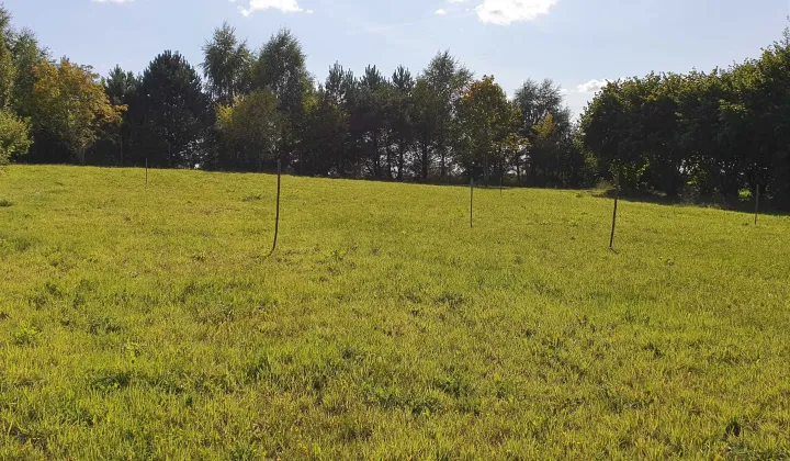 Działka rolno-budowlana Kępa Świeszyńska
