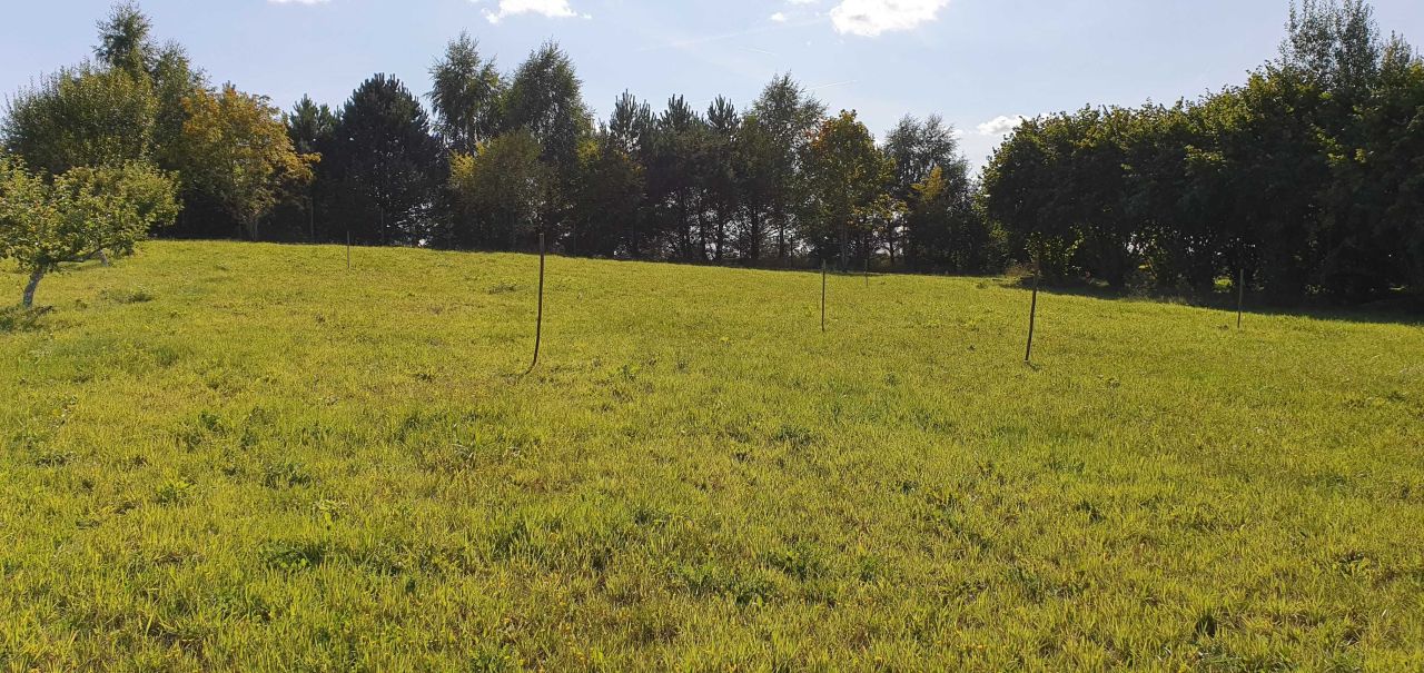 Działka rolno-budowlana Kępa Świeszyńska. Zdjęcie 1