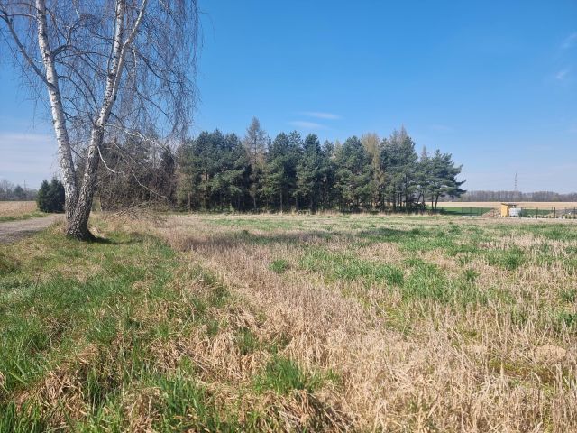 Działka rolno-budowlana Jarząbkowice. Zdjęcie 2