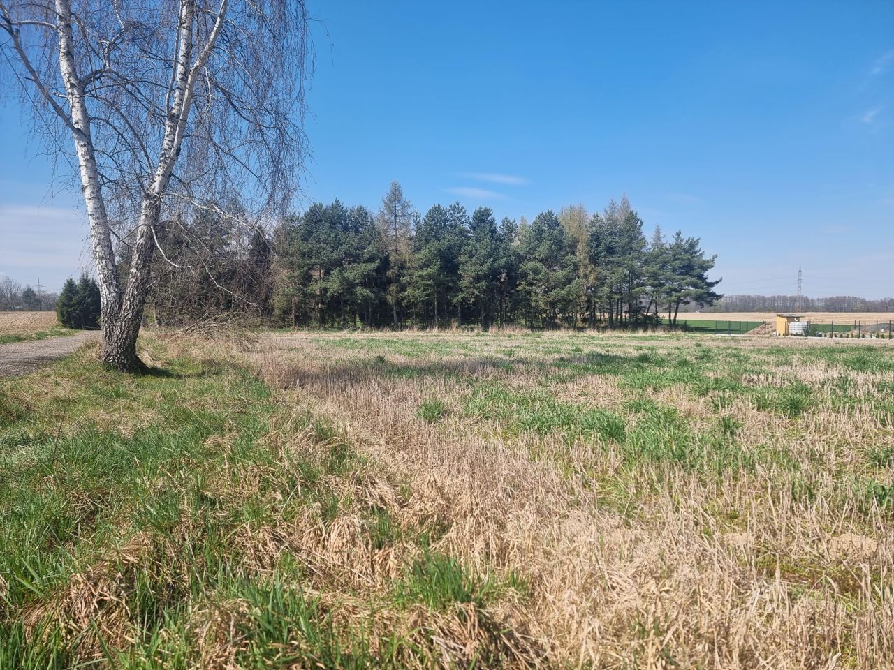 Działka rolno-budowlana Jarząbkowice. Zdjęcie 2