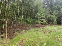 Działka rolno-budowlana Kozłowiec. Zdjęcie 2