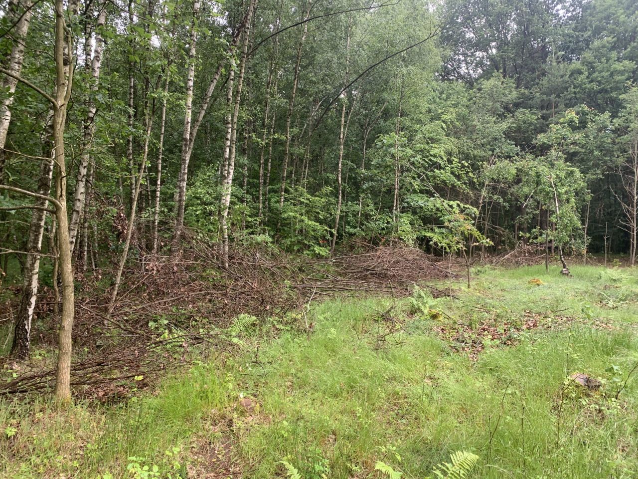 Działka rolno-budowlana Kozłowiec. Zdjęcie 3