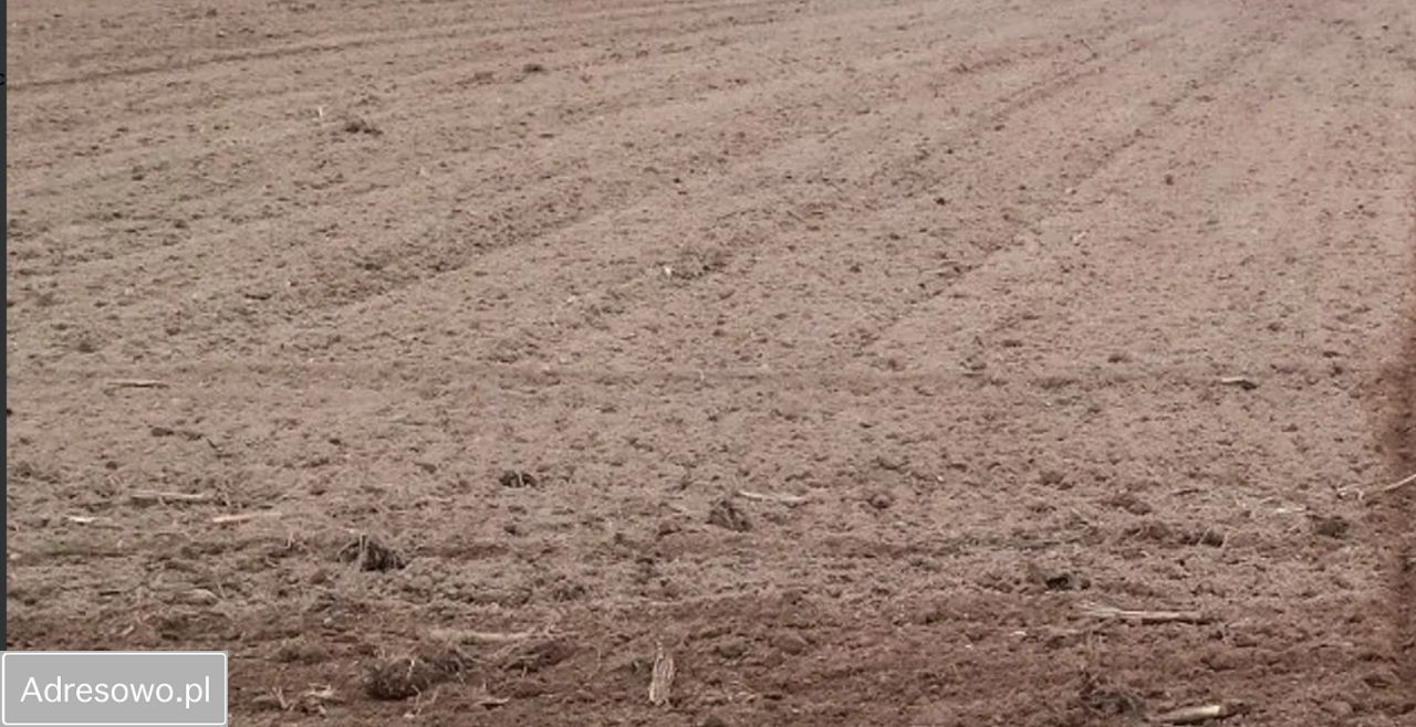 Działka rolna Korboniec. Zdjęcie 2