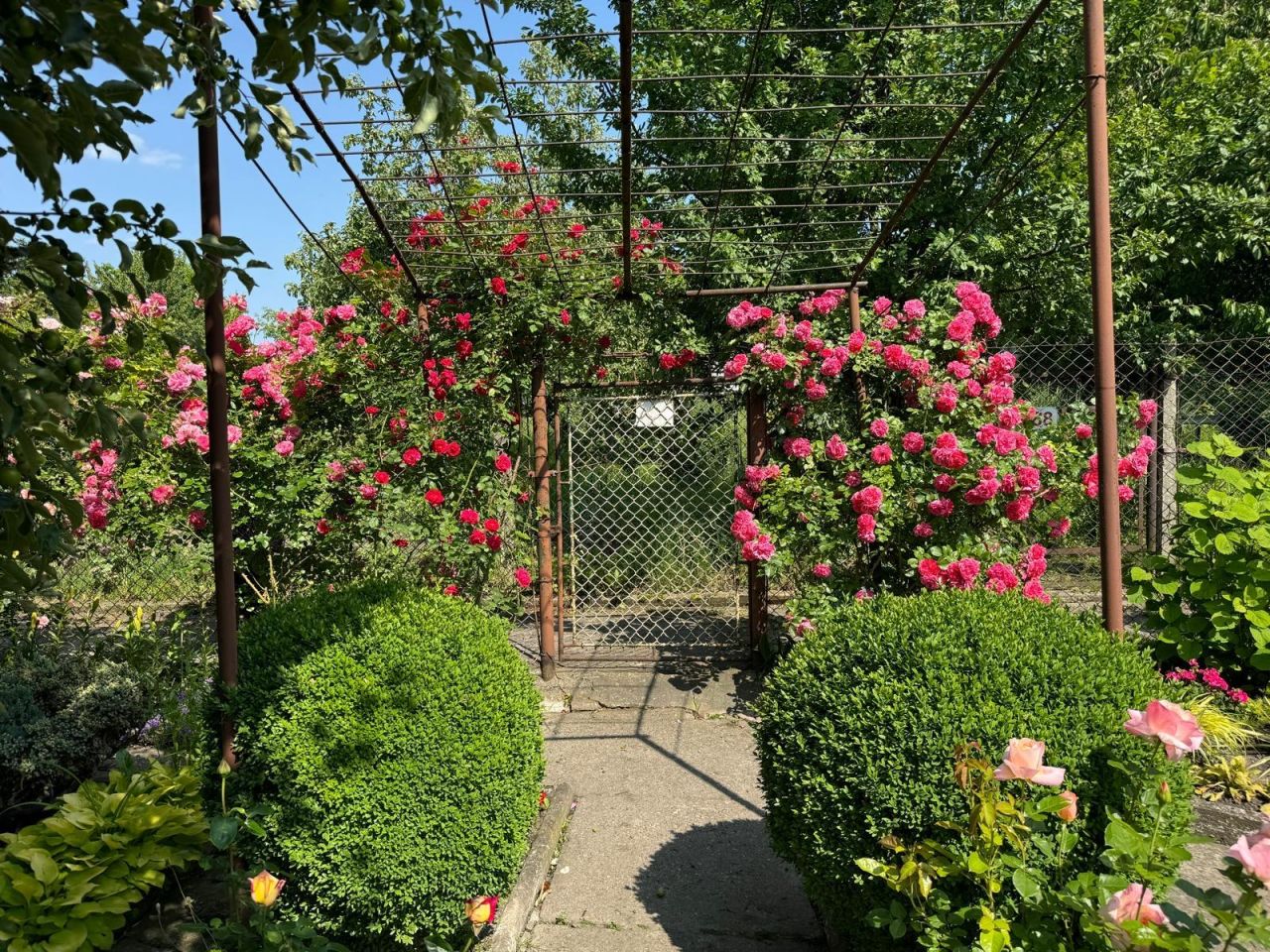 Działka rod Gliwice Trynek, Gliwice Trynek. Zdjęcie 2