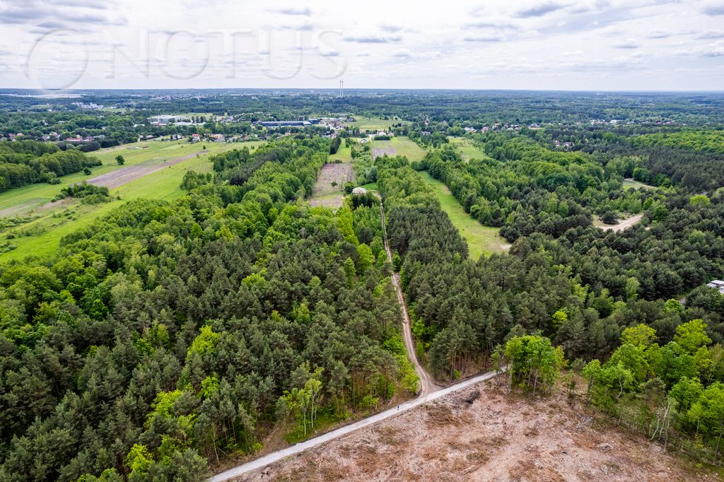 Działka budowlana Radziejowice, ul. Do Lasu. Zdjęcie 12
