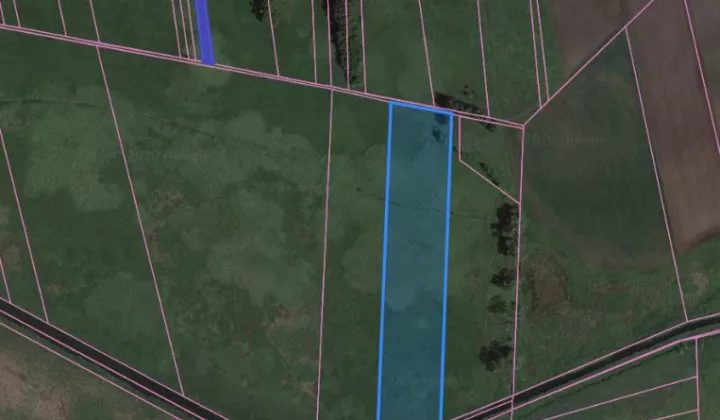 Działka siedliskowa Kopytów