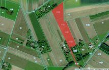 Działka rolno-budowlana Nowy Skoszyn. Zdjęcie 1