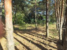 Działka budowlana Skrzeszew, ul. Janiny. Zdjęcie 3