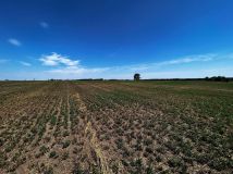 Działka rolno-budowlana Kwik. Zdjęcie 4