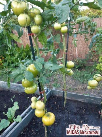 Działka rekreacyjna Włocławek. Zdjęcie 10