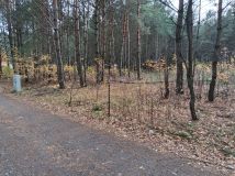 Działka budowlana Rogóźnia. Zdjęcie 3