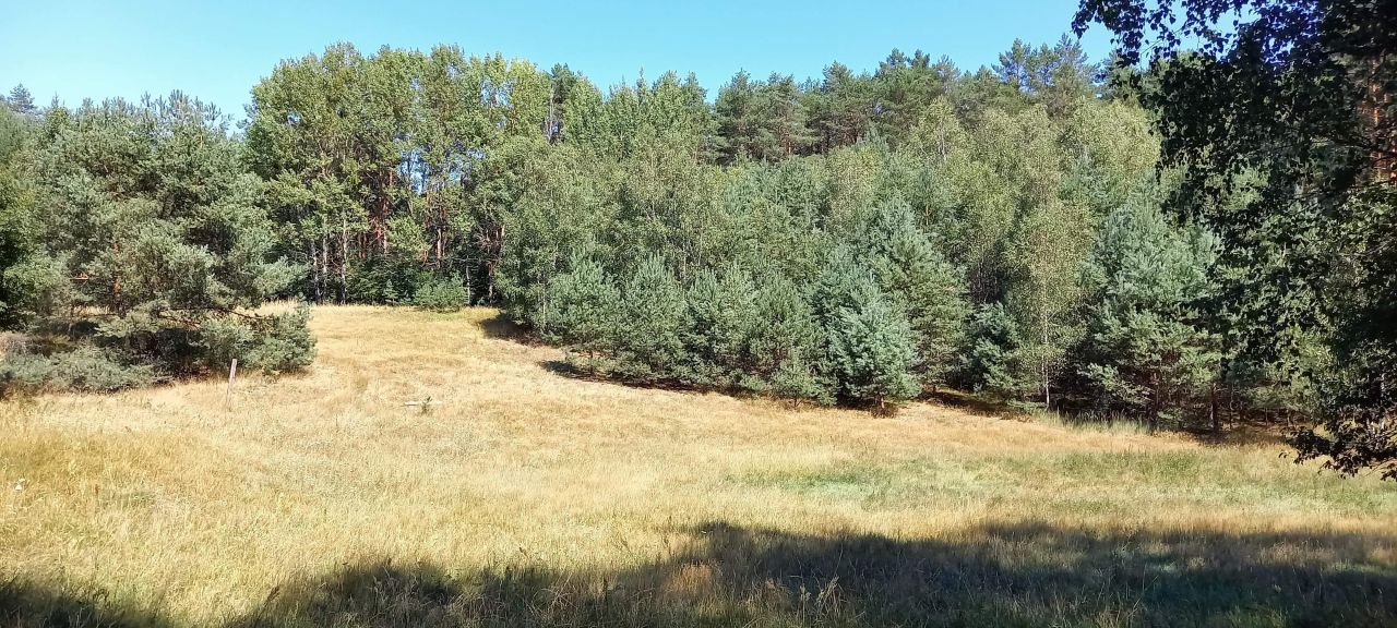 Działka rolno-budowlana Żelichowo. Zdjęcie 3