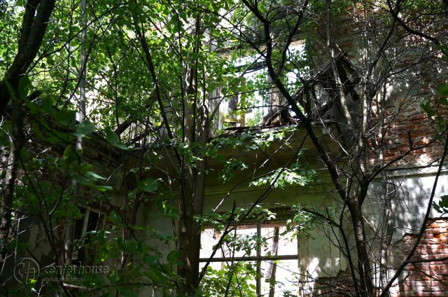 dworek Dąbrowica. Zdjęcie 10