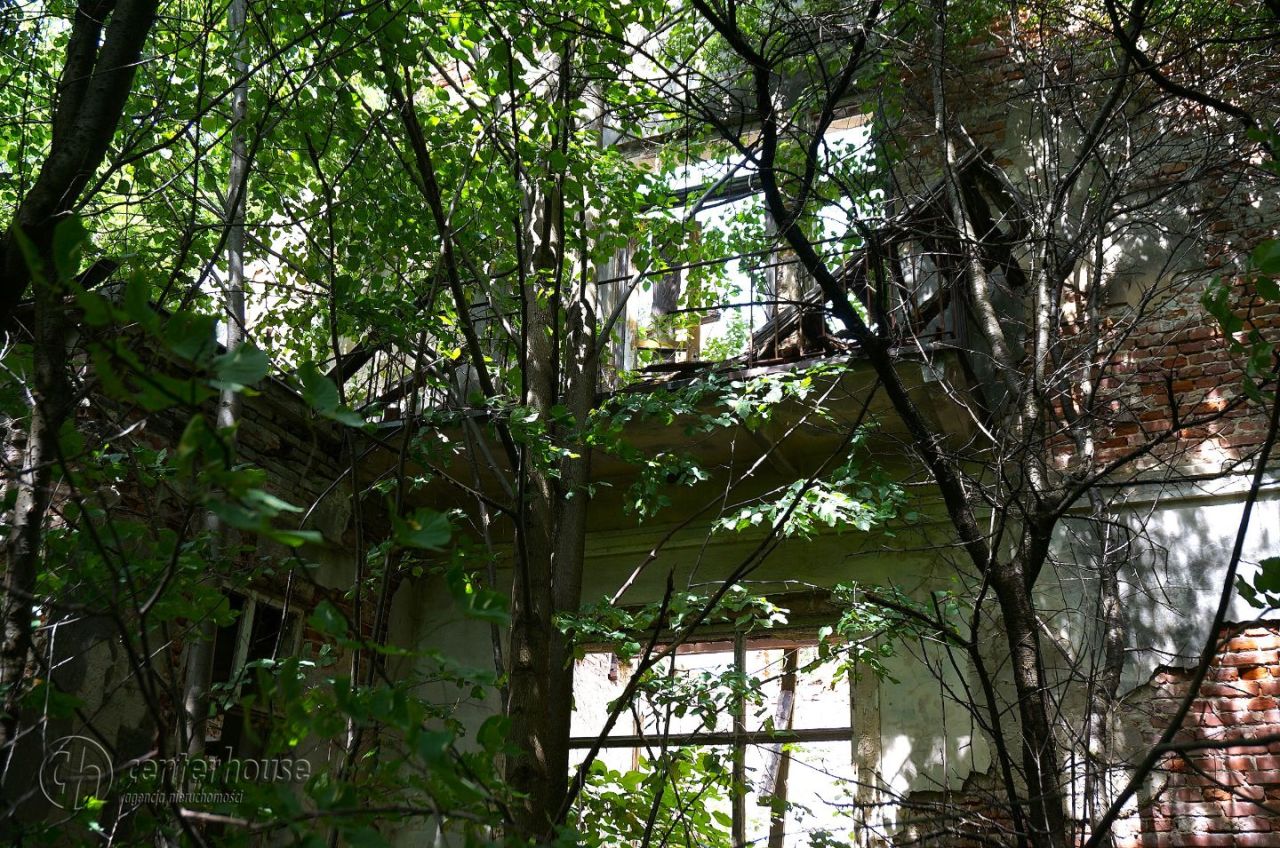 dworek Dąbrowica. Zdjęcie 10