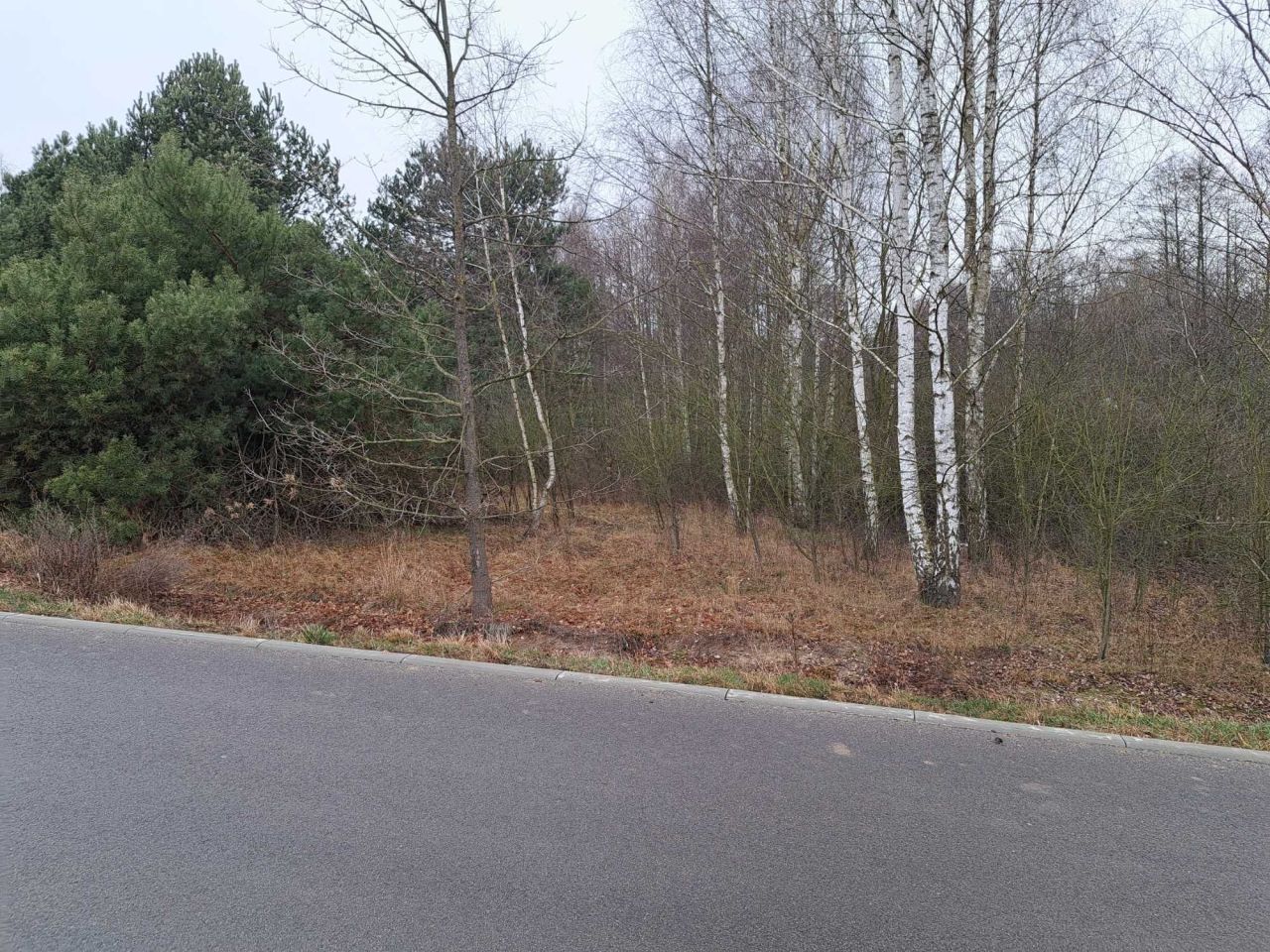 Działka rekreacyjna Suchodół Szlachecki. Zdjęcie 6