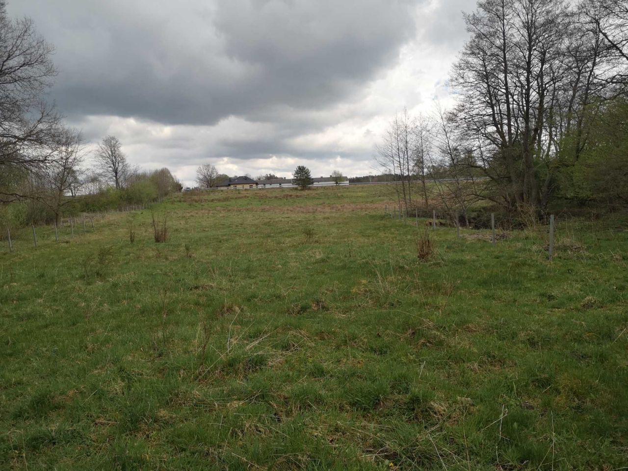 Działka rolna Mieszałki. Zdjęcie 5