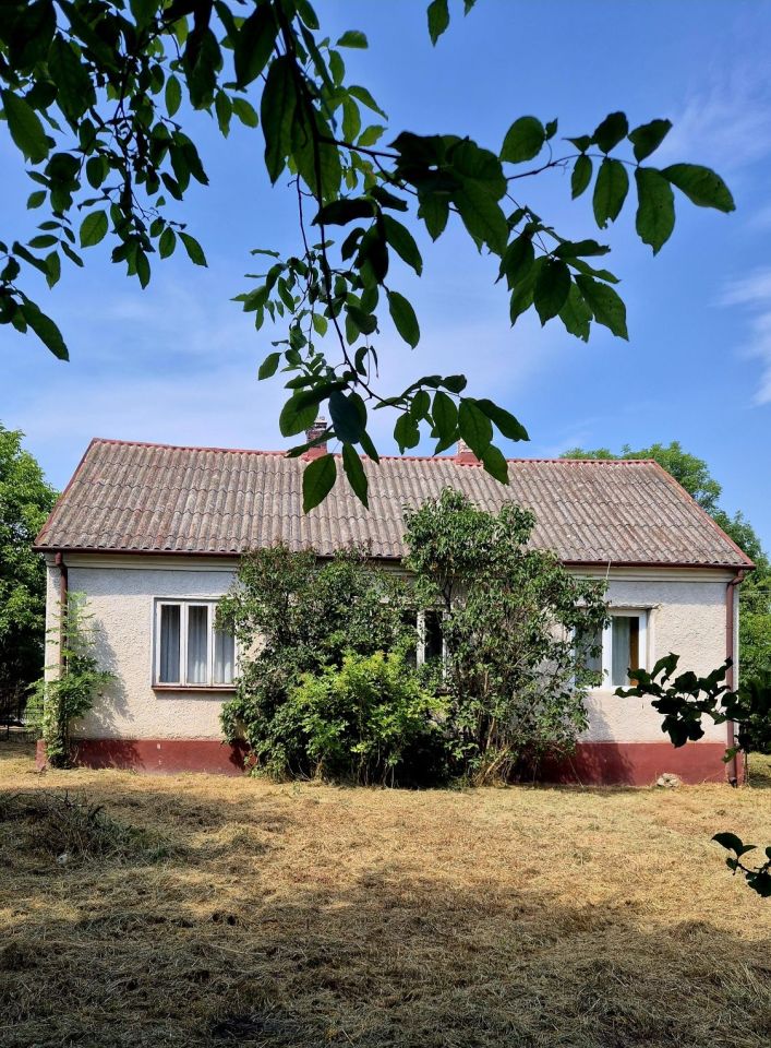 gospodarstwo Szaniec, ul. Szkolna. Zdjęcie 6