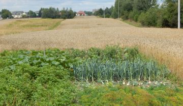 Działka rolno-budowlana Brzóza Parcela, ul. Parcela