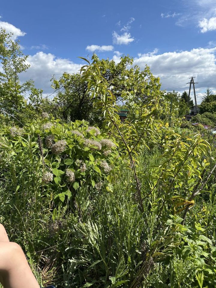 Działka rod Czarnków. Zdjęcie 5