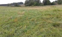 Działka rolna Strzebielino. Zdjęcie 1