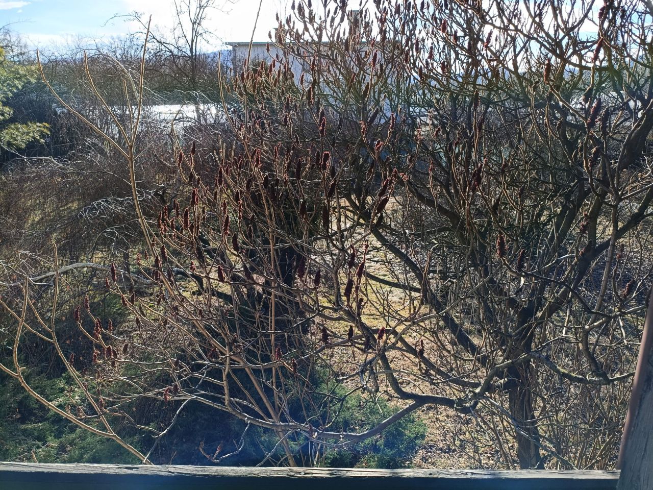 dom wolnostojący, 6 pokoi Andrychów, ul. Prymasa Stefana Wyszyńskiego. Zdjęcie 23