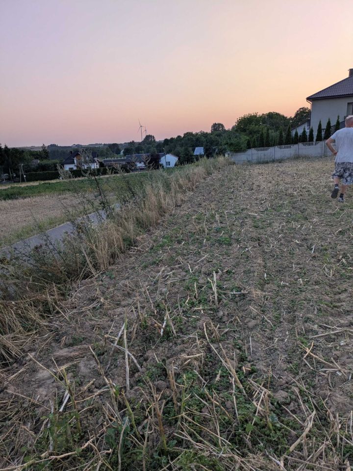 Działka rolna Zagorzyce. Zdjęcie 3