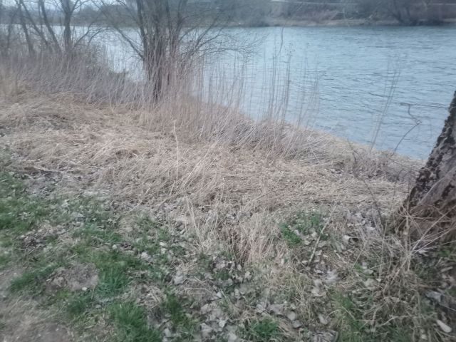 Działka rekreacyjna Dynów. Zdjęcie 1