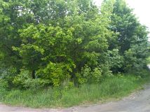 Działka budowlana Włocławek Zawiśle , ul. Stroma. Zdjęcie 1