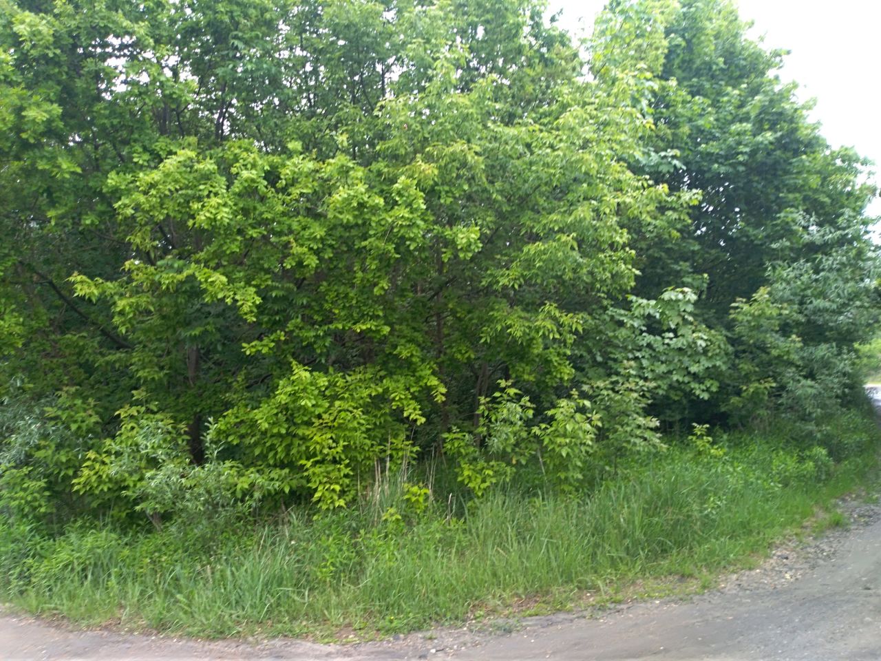 Działka budowlana Włocławek Zawiśle , ul. Stroma. Zdjęcie 2