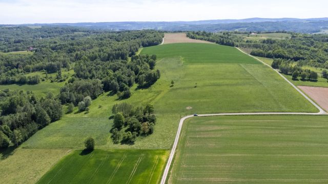 Działka Nowy Borek. Zdjęcie 5