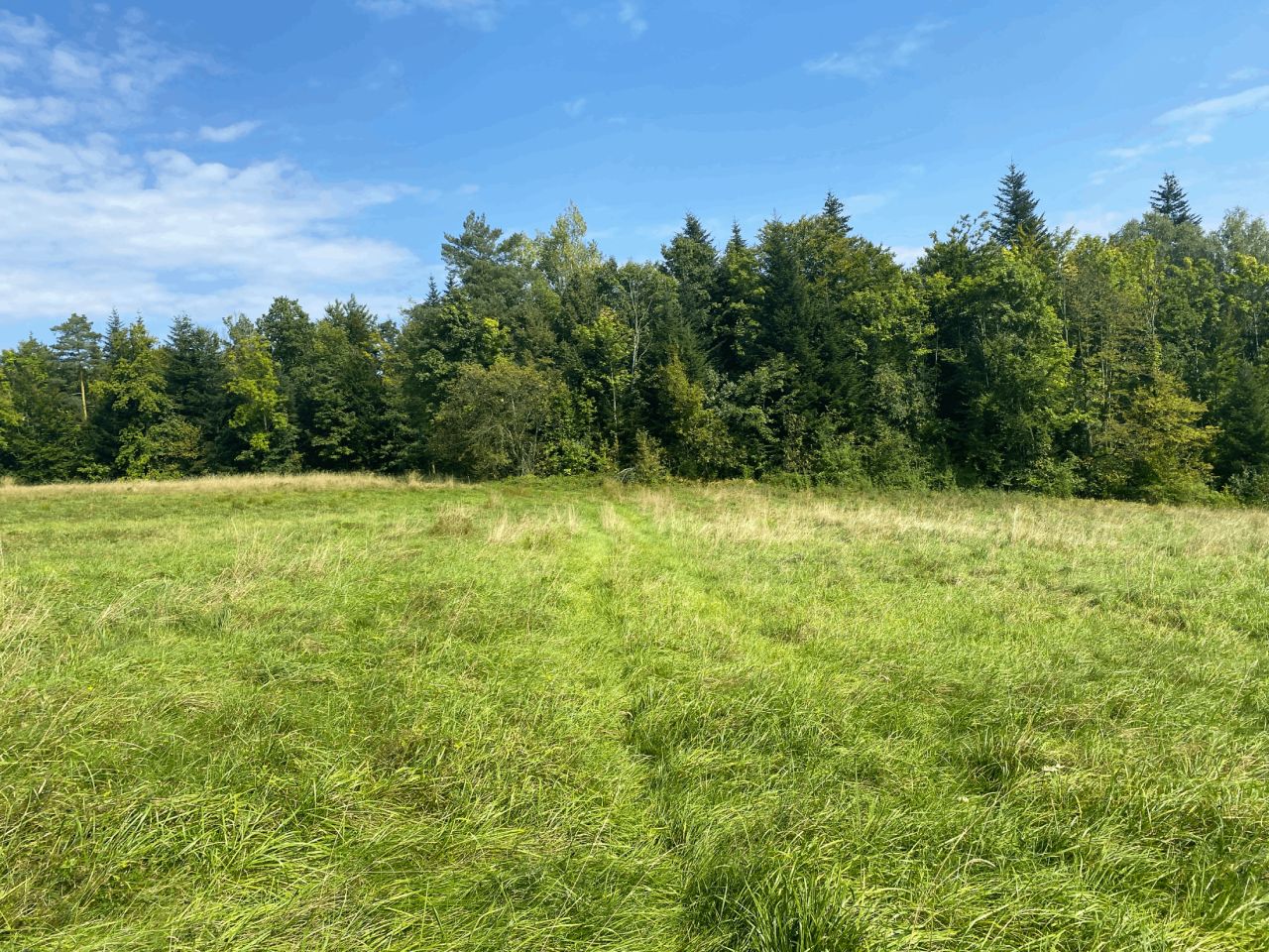 Działka budowlana Mszana Dolna Zarabie, ul. Zarabie