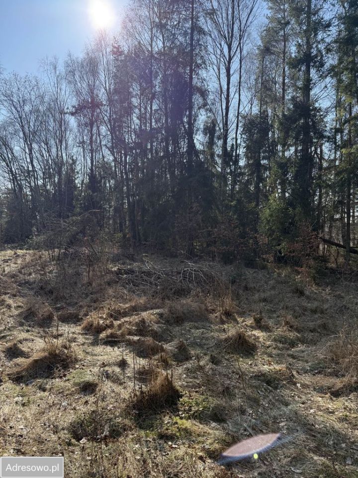 Działka rolno-budowlana Koleczkowo, ul. Słoneczna. Zdjęcie 3