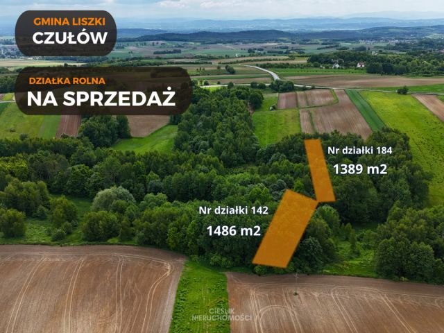 Działka rolna Czułów. Zdjęcie 1