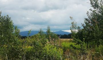 Działka budowlana Kromnów, Karkonoska