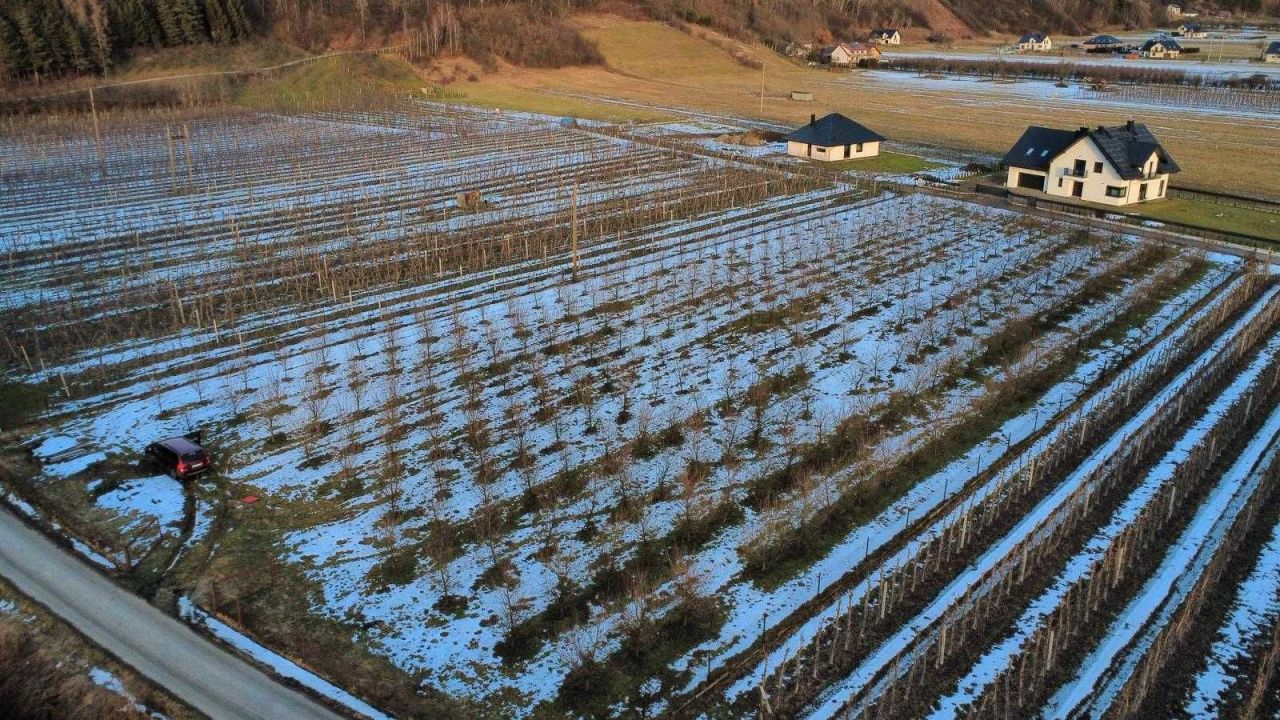 Działka inwestycyjna Łącko. Zdjęcie 7