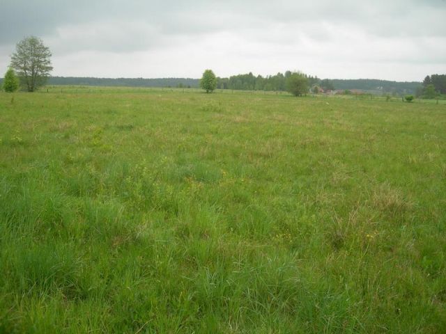 Działka rolno-budowlana Ruszajny, ul. Mikołaja Reja. Zdjęcie 1
