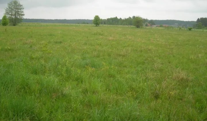Działka rolno-budowlana Ruszajny, ul. Mikołaja Reja