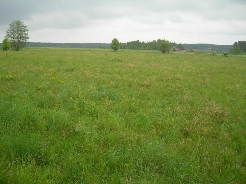 Działka rolno-budowlana Ruszajny, ul. Mikołaja Reja. Zdjęcie 1