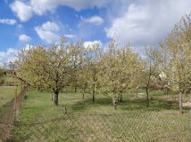 Działka budowlana Kraczewice Rządowe. Zdjęcie 1