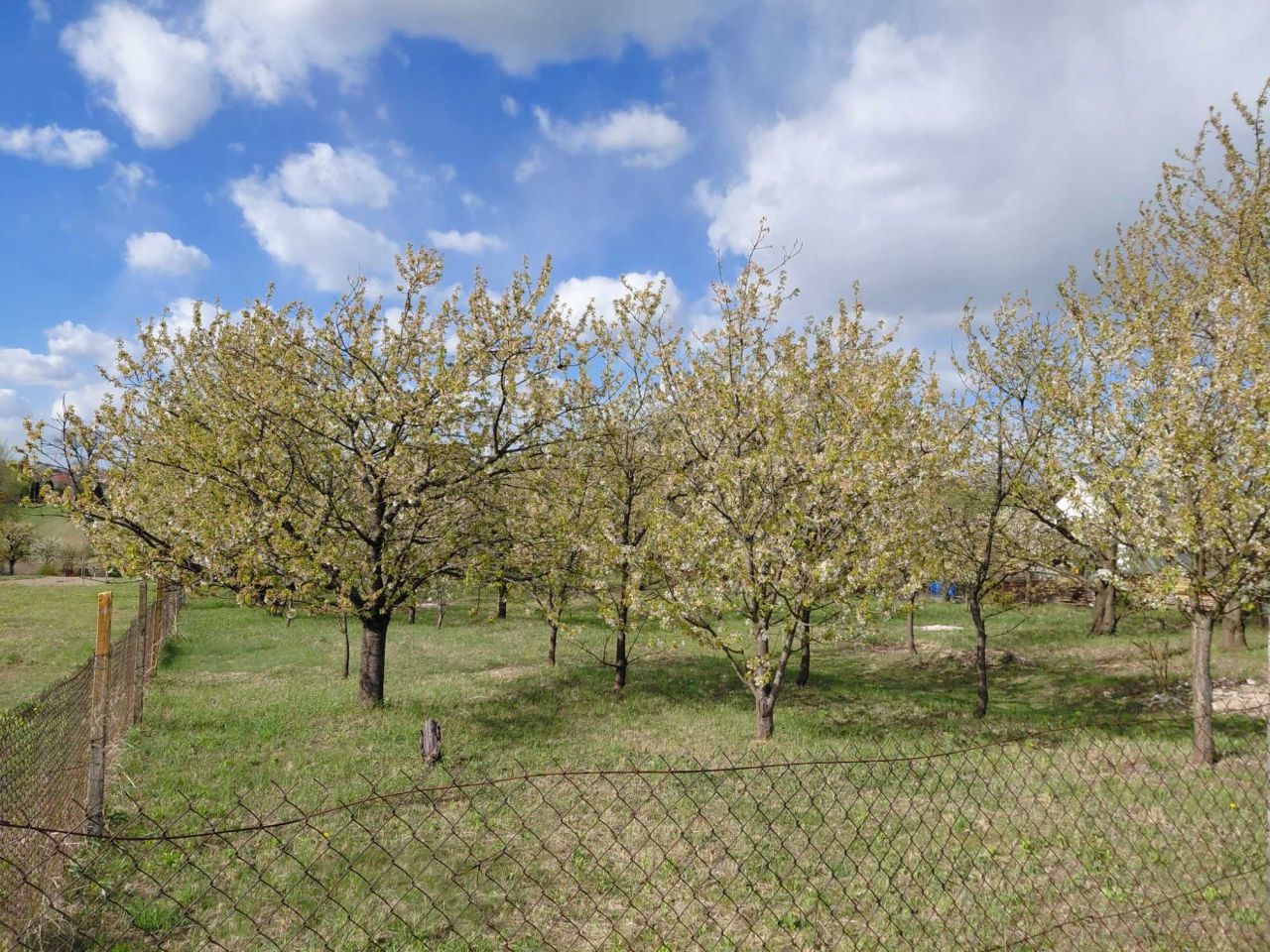 Działka budowlana Kraczewice Rządowe. Zdjęcie 2