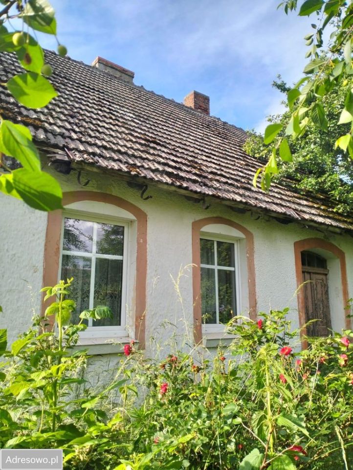 dom wolnostojący, 4 pokoje Gąskowo. Zdjęcie 4