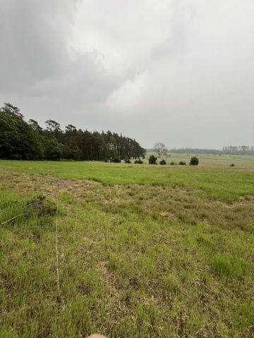 Działka budowlana Połchowo. Zdjęcie 1