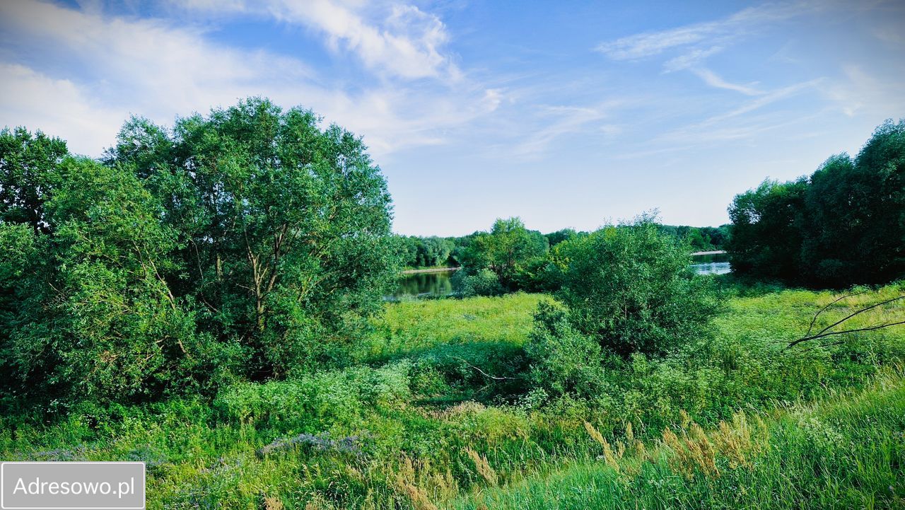 dom wolnostojący, 4 pokoje Bogoria Skotnicka. Zdjęcie 11