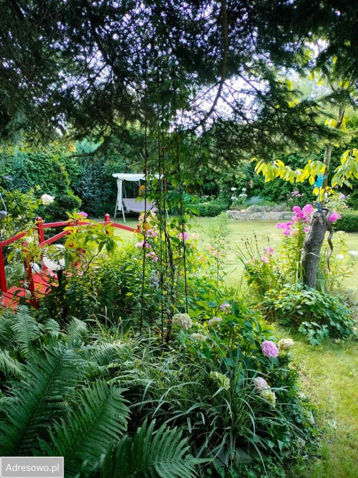 Działka rod Sosnowiec Pogoń, ul. Lwowska. Zdjęcie 8