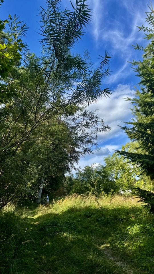 Działka rekreacyjna Dłusko. Zdjęcie 7