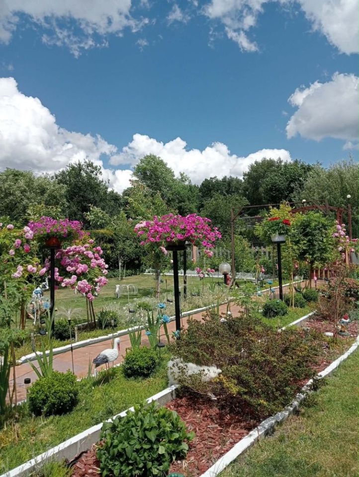 Działka rod Zabrze. Zdjęcie 8