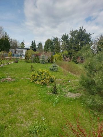 Działka rod Łódź Widzew, ul. Telefoniczna. Zdjęcie 5