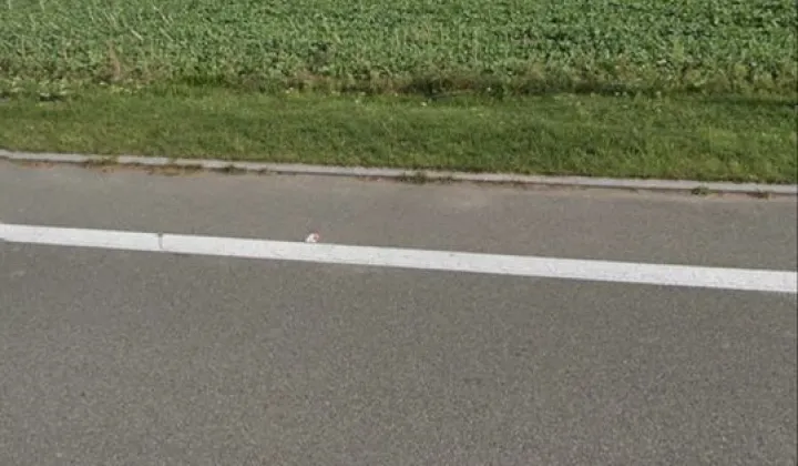 Działka budowlana Czerwionka-Leszczyny Dębieńsko, ul. Ornontowicka