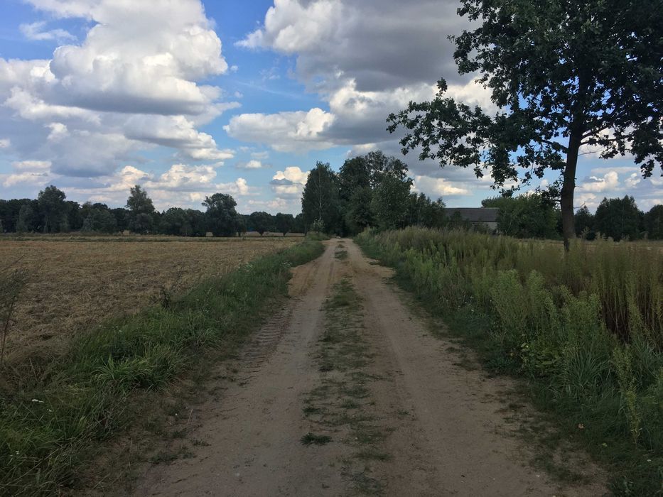 Działka rekreacyjna Popielżyn-Zawady. Zdjęcie 6